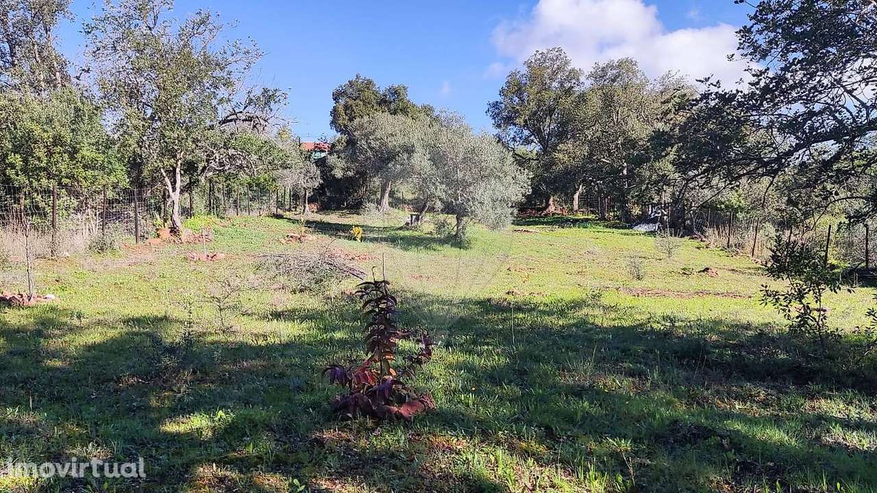 Terreno  para venda - Grande imagem: 2/7