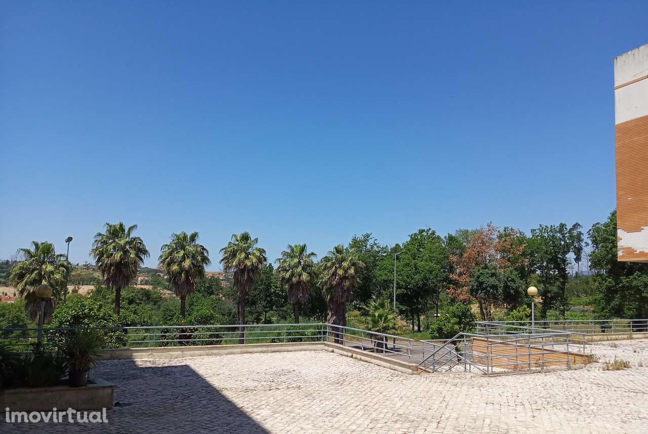 Terreno com PIP em Aprovação | Santa Comba Dão - Grande imagem: 3/15