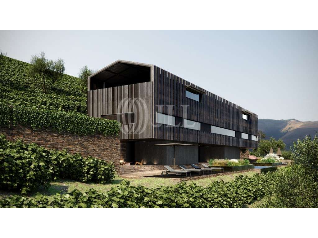 Terreno com projecto aprovado, em Covas do Douro, Sabrosa - Grande imagem: 4/18