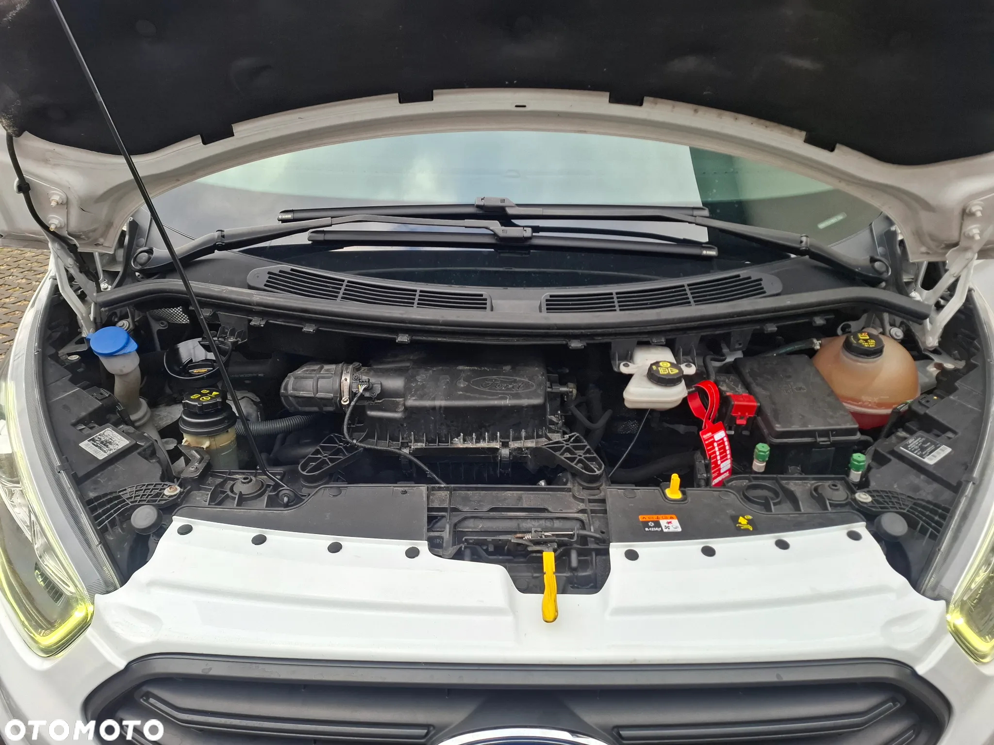 Ford Transit Custom 280 L1H1 LKW VA Trend - 20