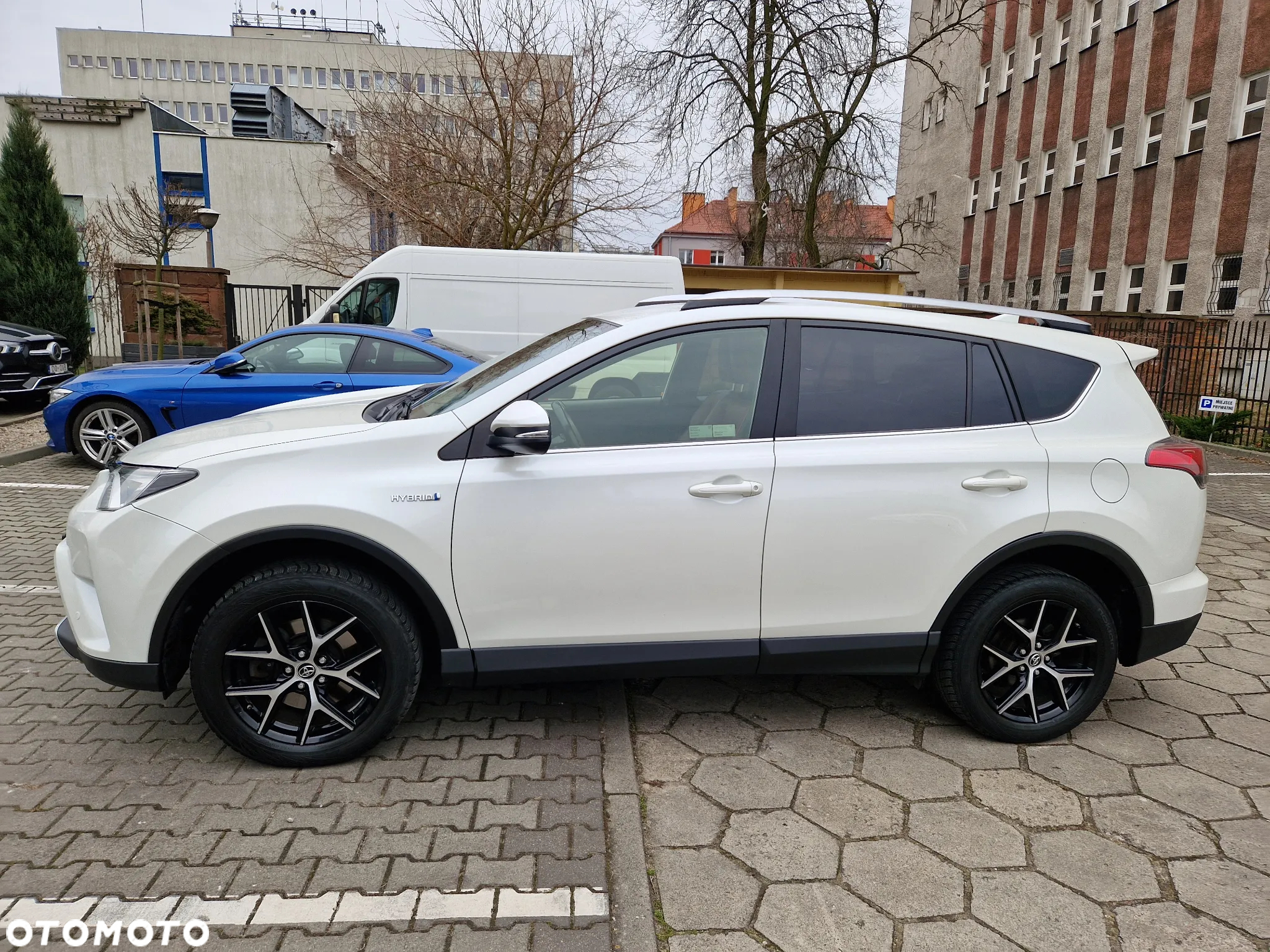 Toyota RAV4 Hybrid Style 4x2 - 5