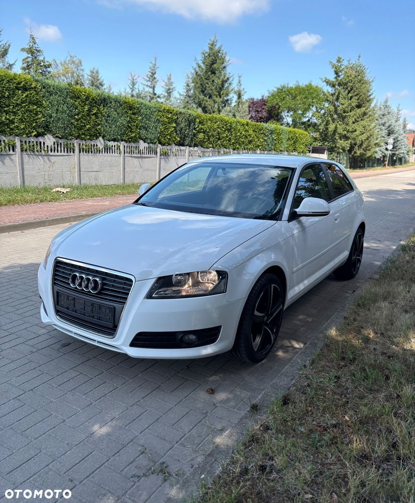 Audi A3 3-drzwiowe 1.6 Ambiente - 2