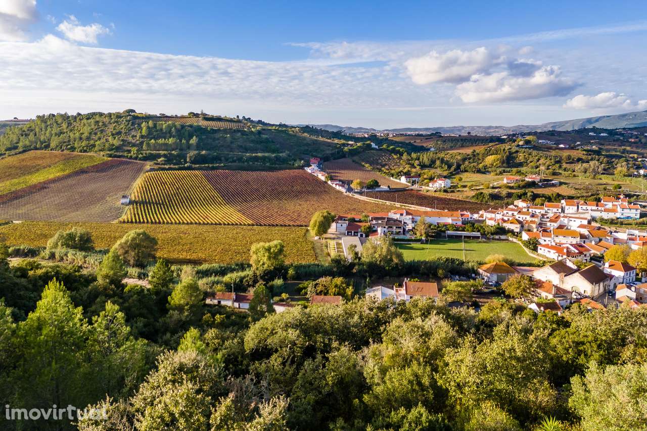 TERRENO RÚSTICO | 7.760 M2 | MECA | ALENQUER - Grande imagem: 4/5