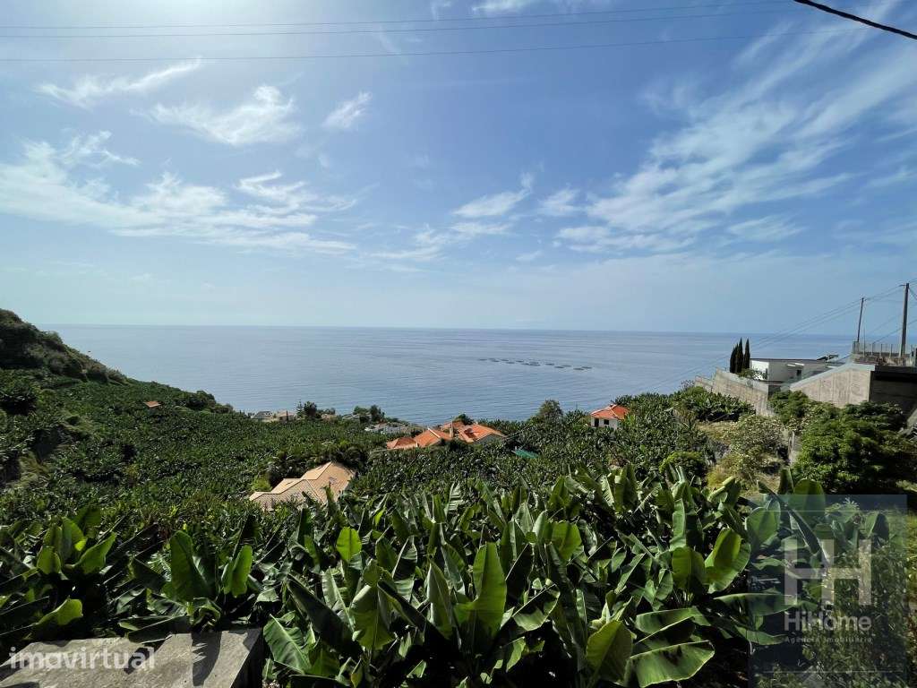 Terreno com 2.295m2 na Calheta, Madeira - Grande imagem: 2/15