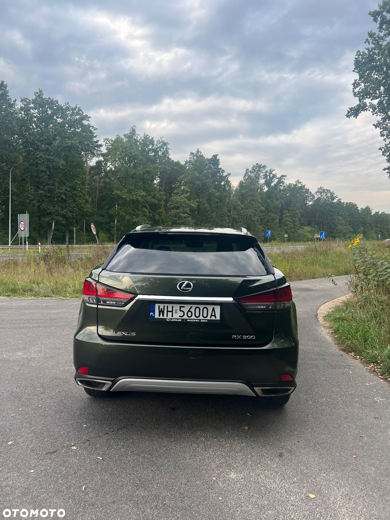 Lexus RX 300 Business Edition + - 6