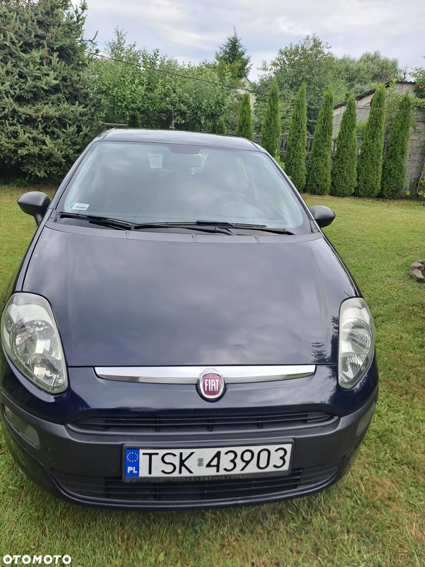 Fiat Punto Evo - 3