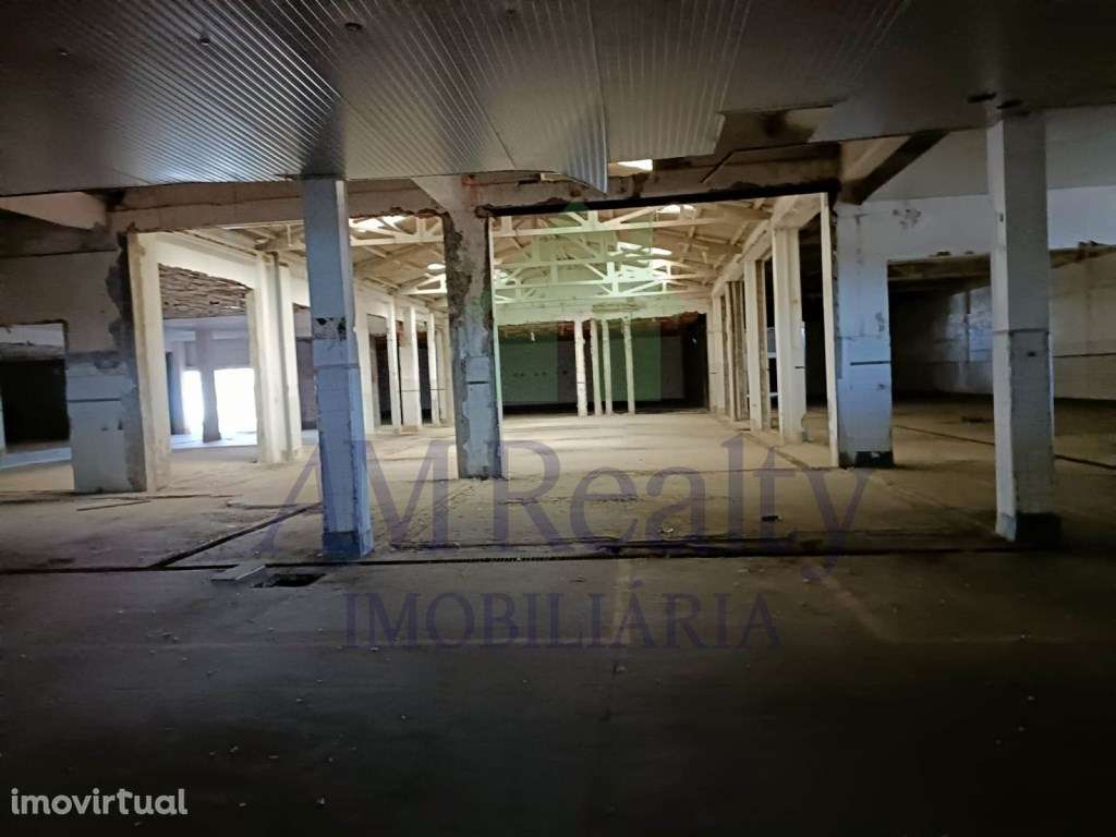 *INVESTIMENTO* - Grande imagem: 2/12