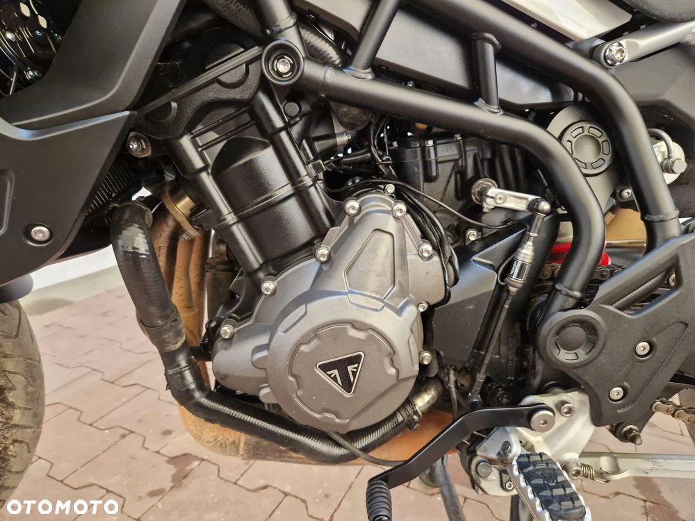 Triumph Tiger - 29