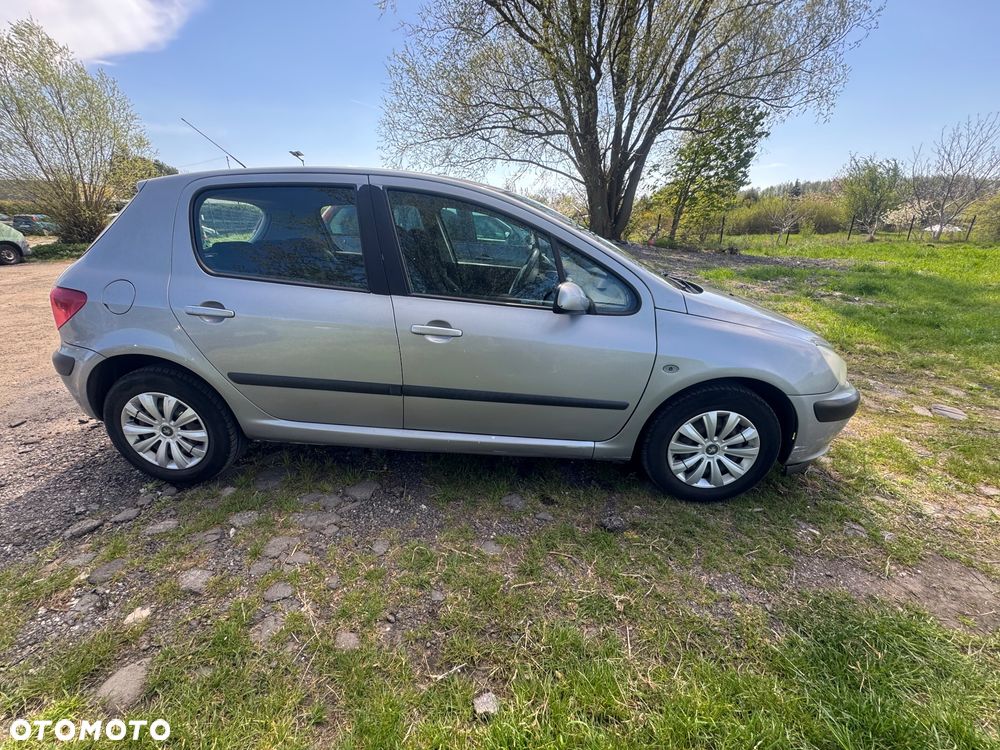 Peugeot 307 - 3