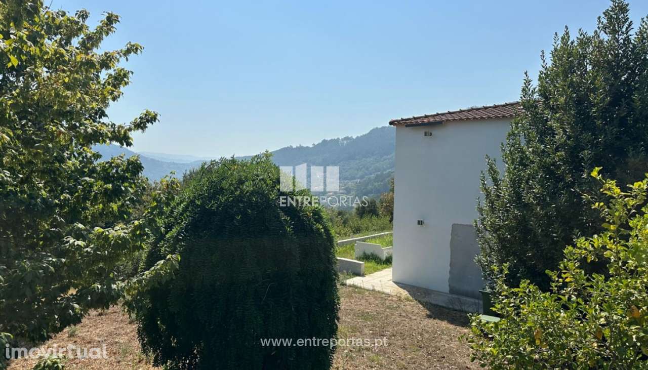 Venda Quintinha V2, São Lourenço do Douro, Marco de Canaveses - Grande imagem: 4/42