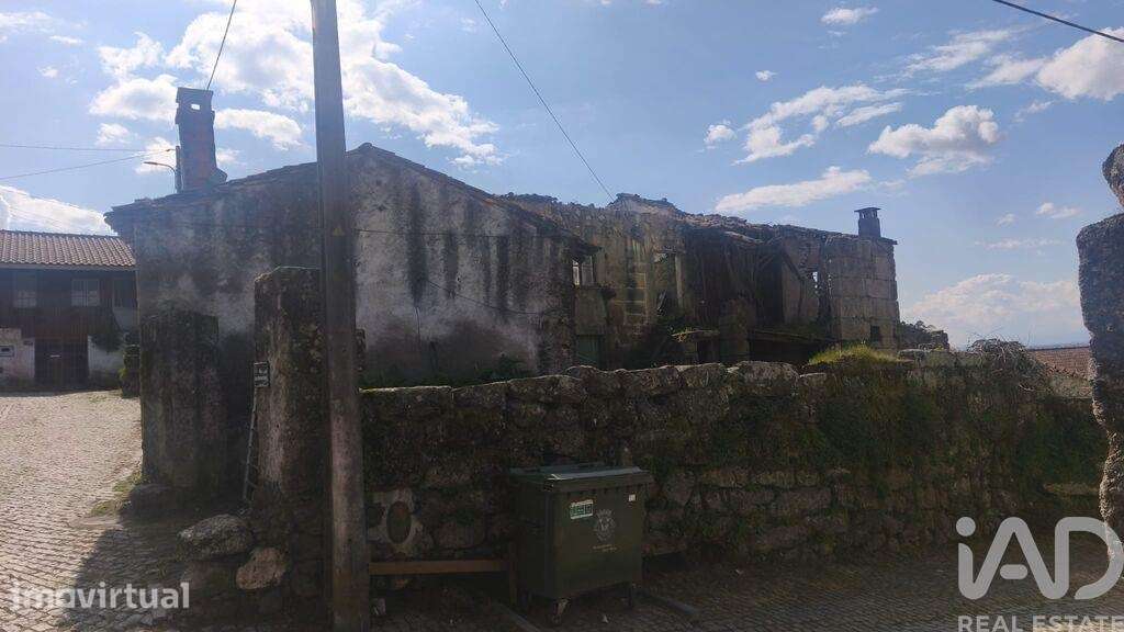 Terreno em Seixo da Beira - Grande imagem: 4/4