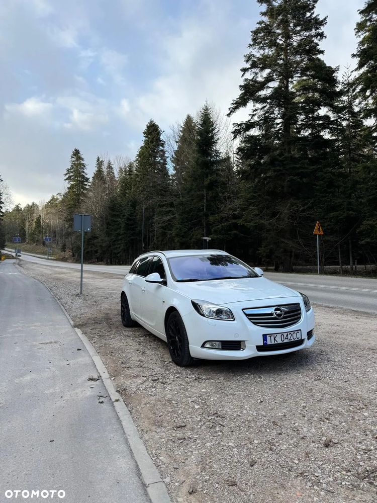 Opel Insignia 2.8 V6 Turbo 4x4 - 16
