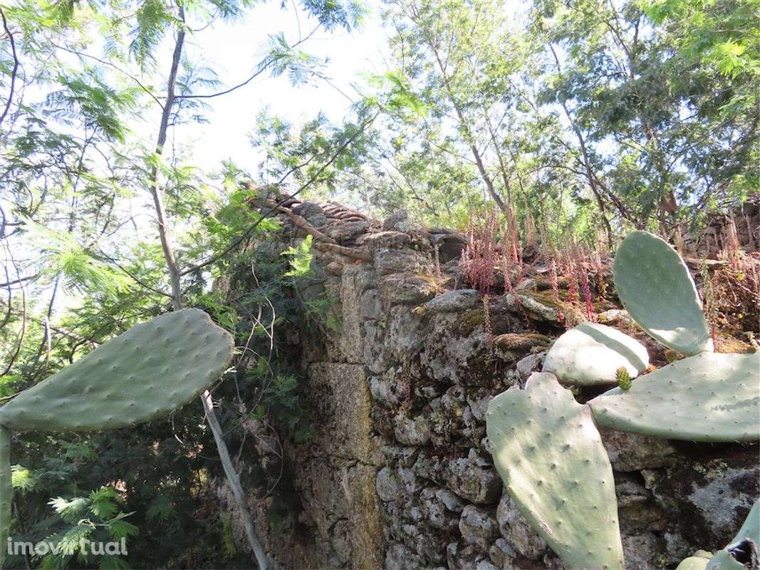 Quinta  para venda - Grande imagem: 3/19