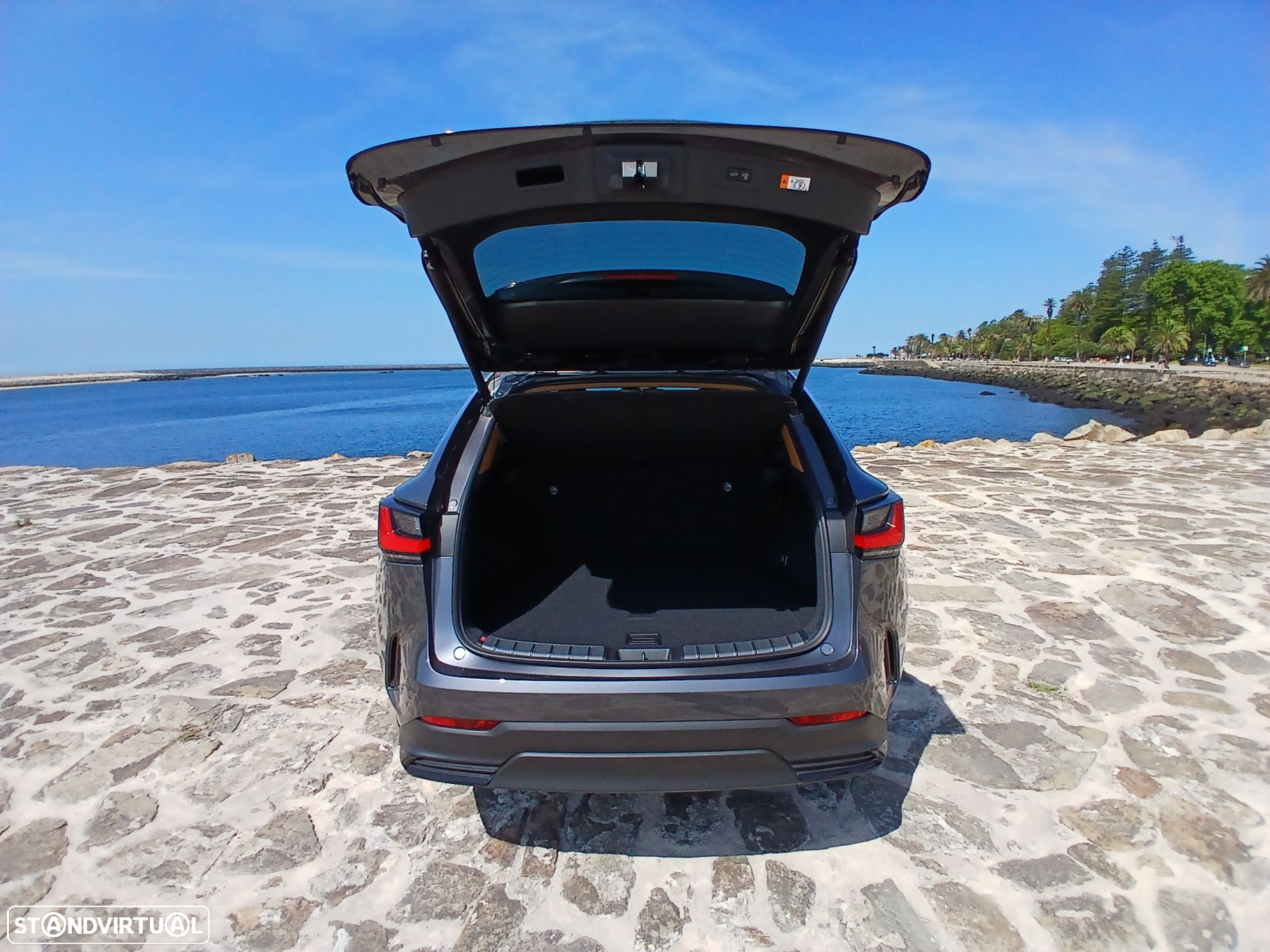 Lexus NX 450h+ - 20