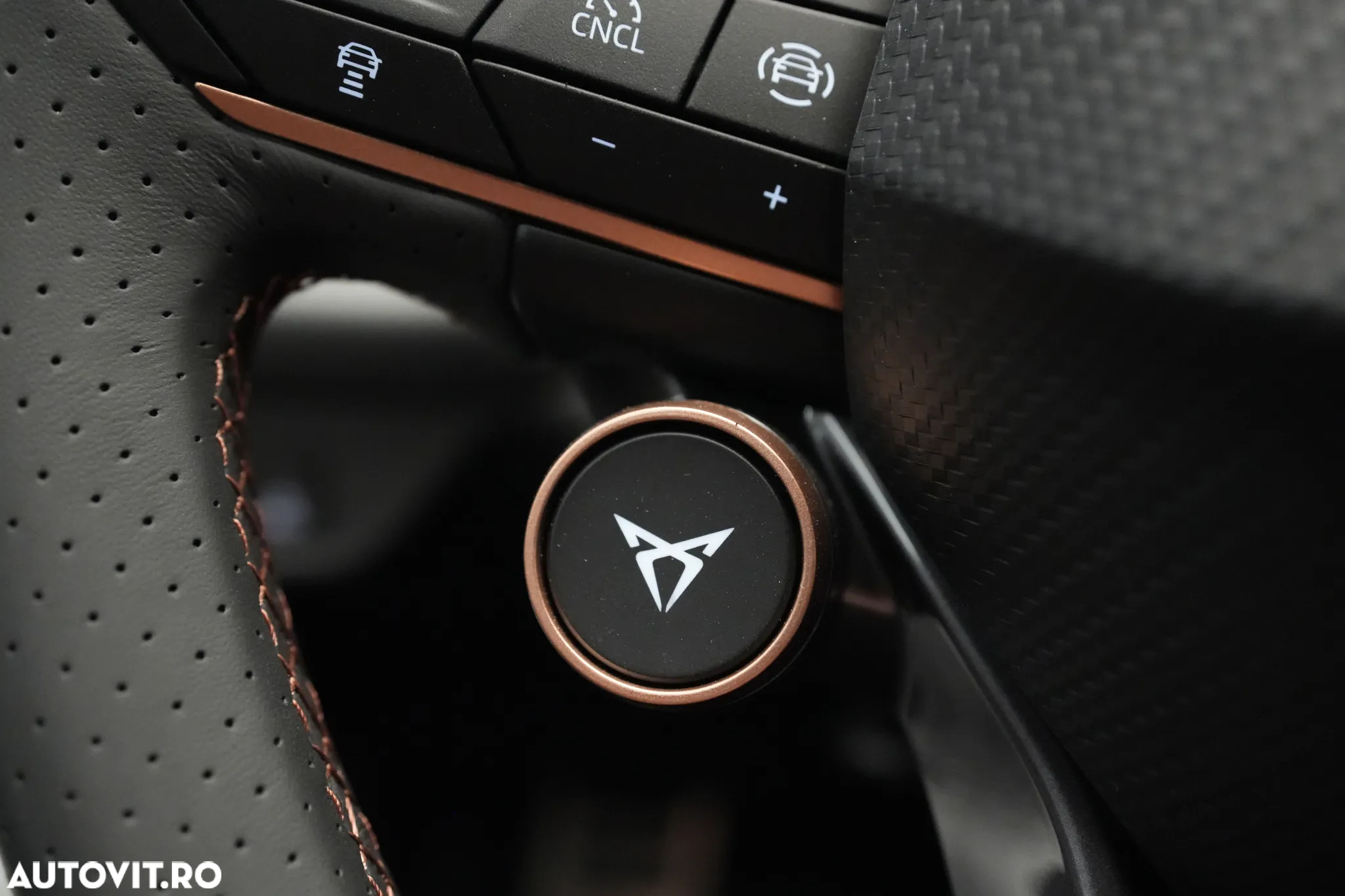 Cupra Terramar - 22