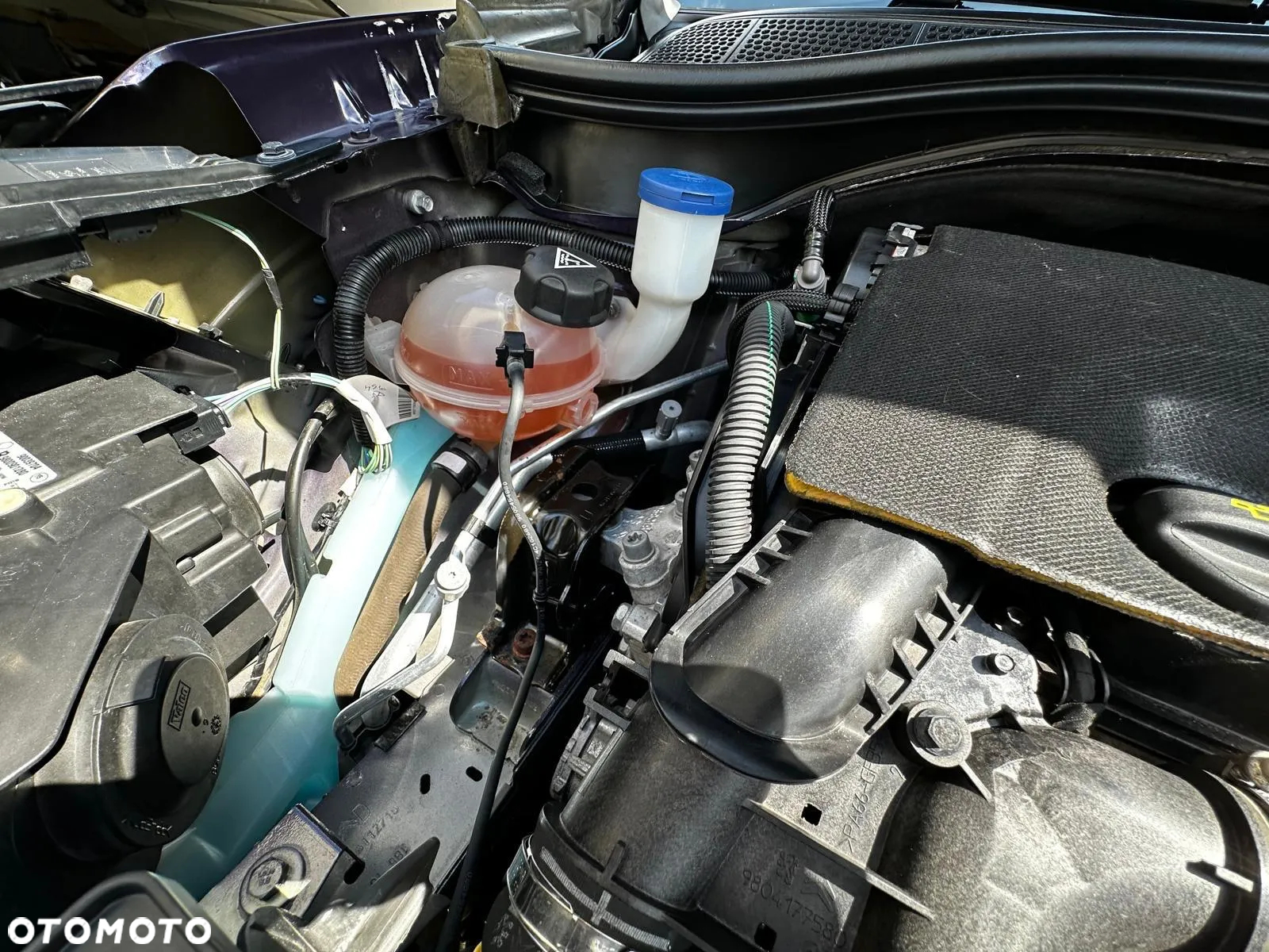 Citroën C4 Cactus BlueHDi 100 Stop&Start Shine - 33