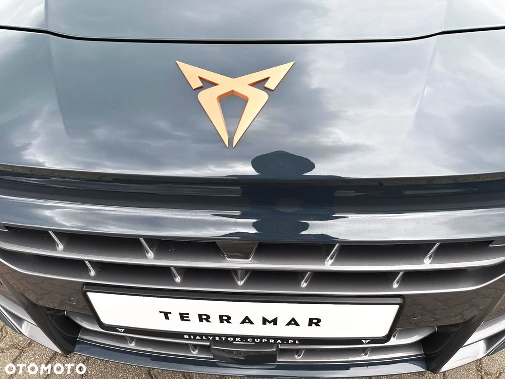 Cupra Terramar 1.5 eTSI mHEV DSG - 22