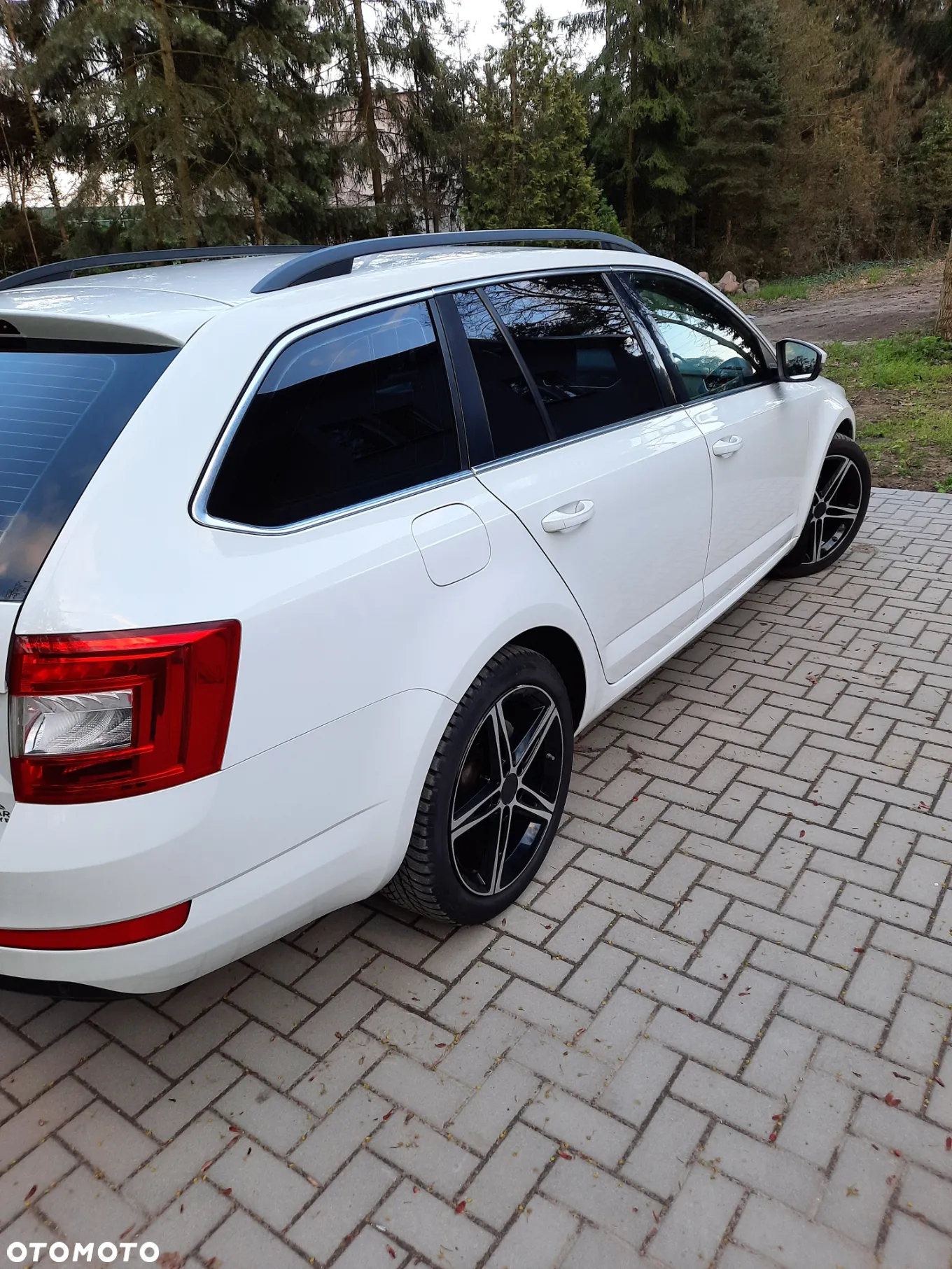 Skoda Octavia 1.6 TDI Ambition - 3