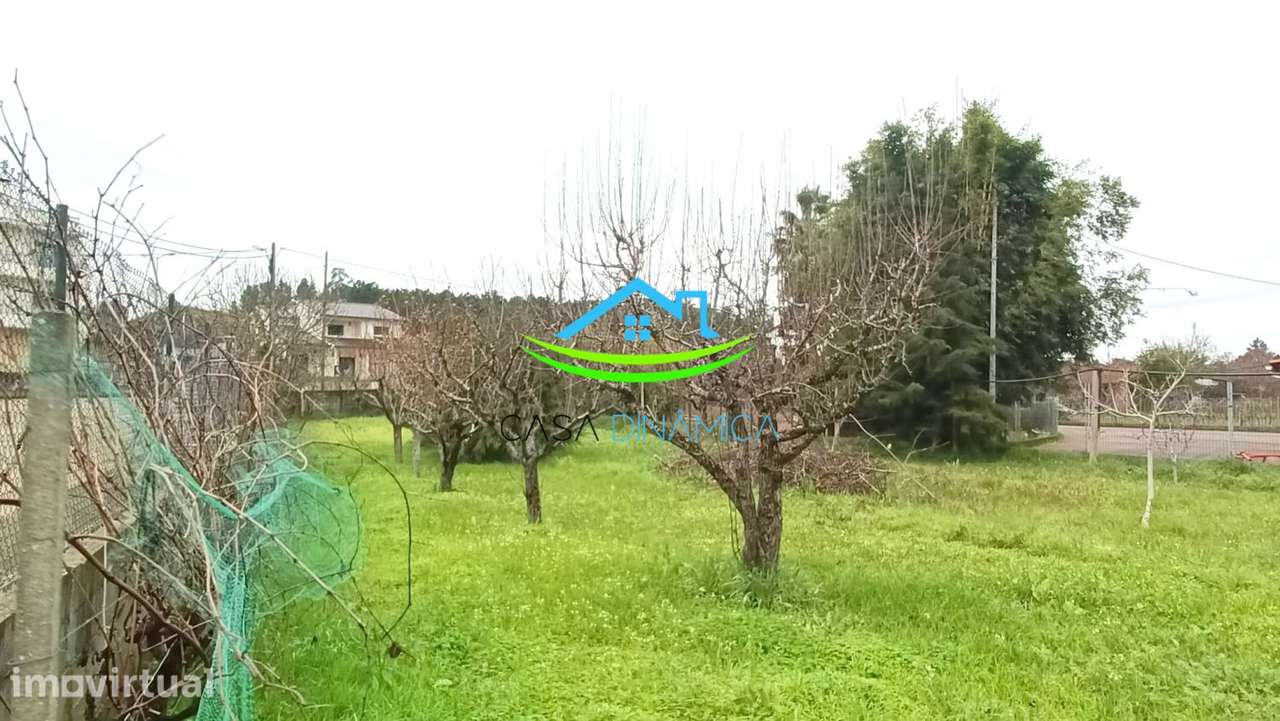 Terreno para Construção em Soure – Coimbra - Grande imagem: 4/12