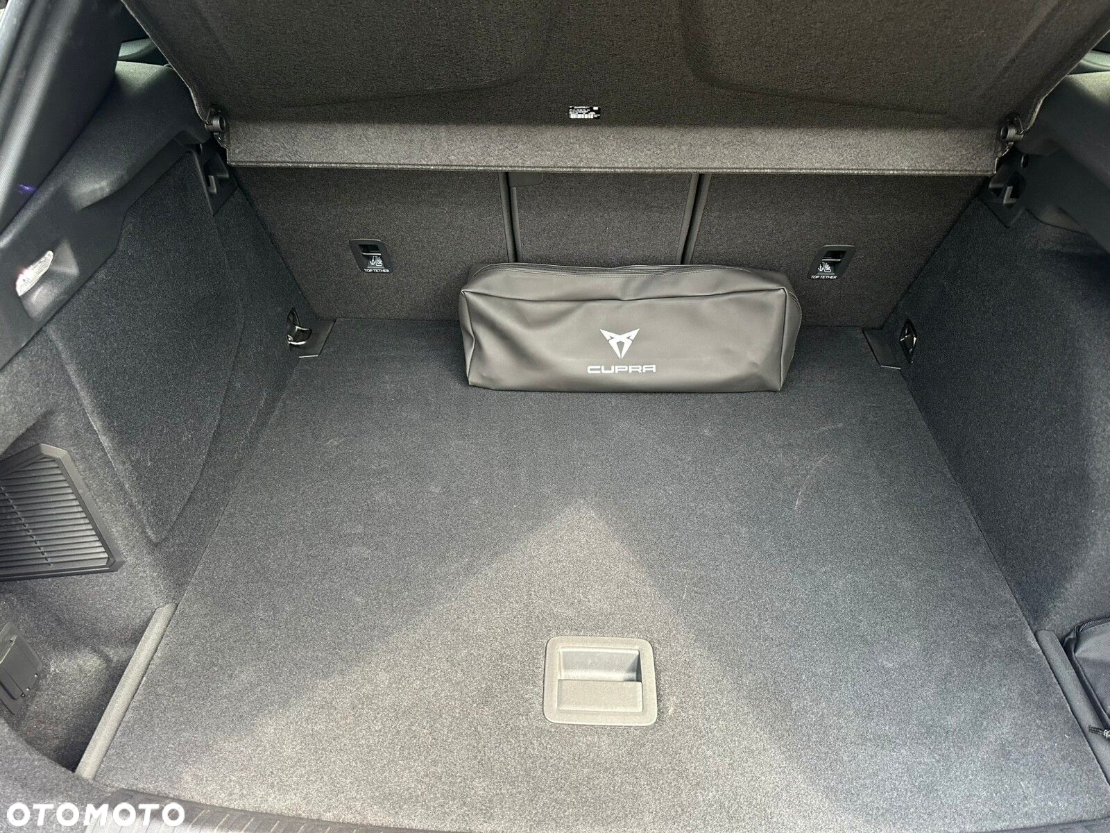 Cupra Terramar - 15