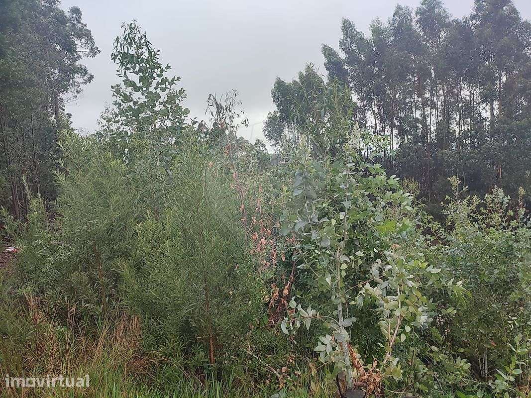 Terreno  para venda - Grande imagem: 4/10