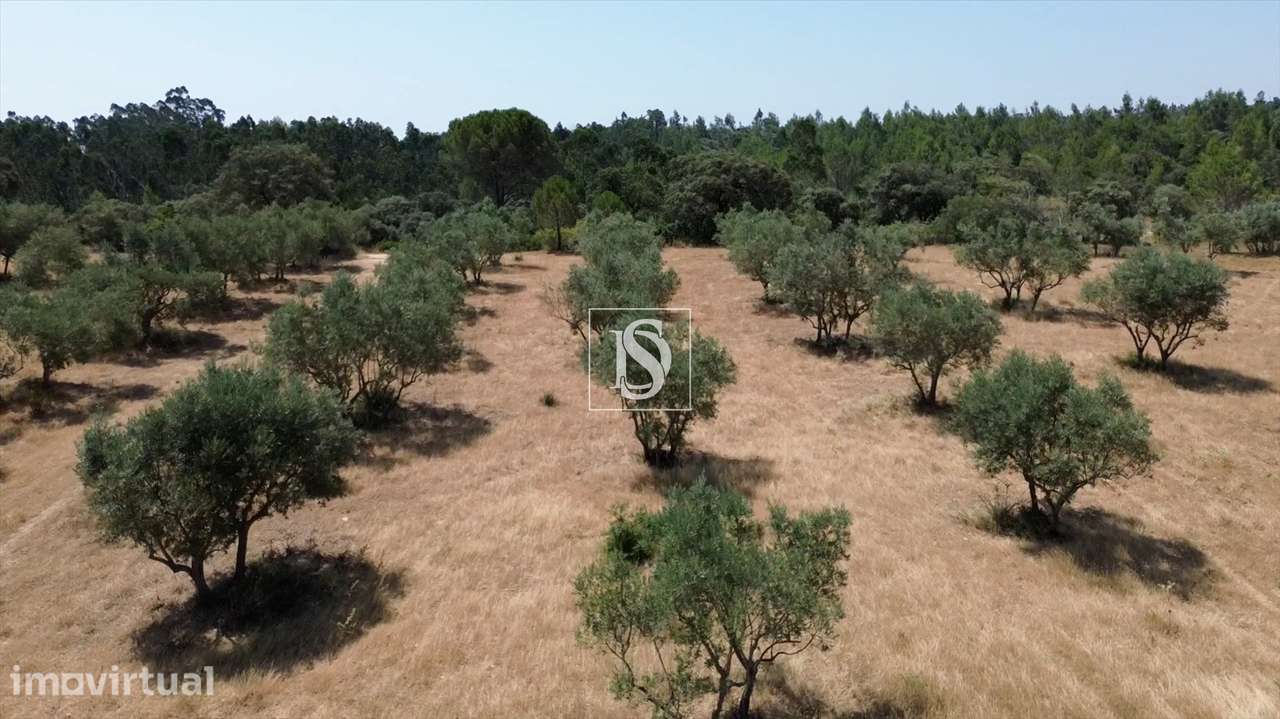 Terreno  Venda em Carregueiros,Tomar - Grande imagem: 5/10