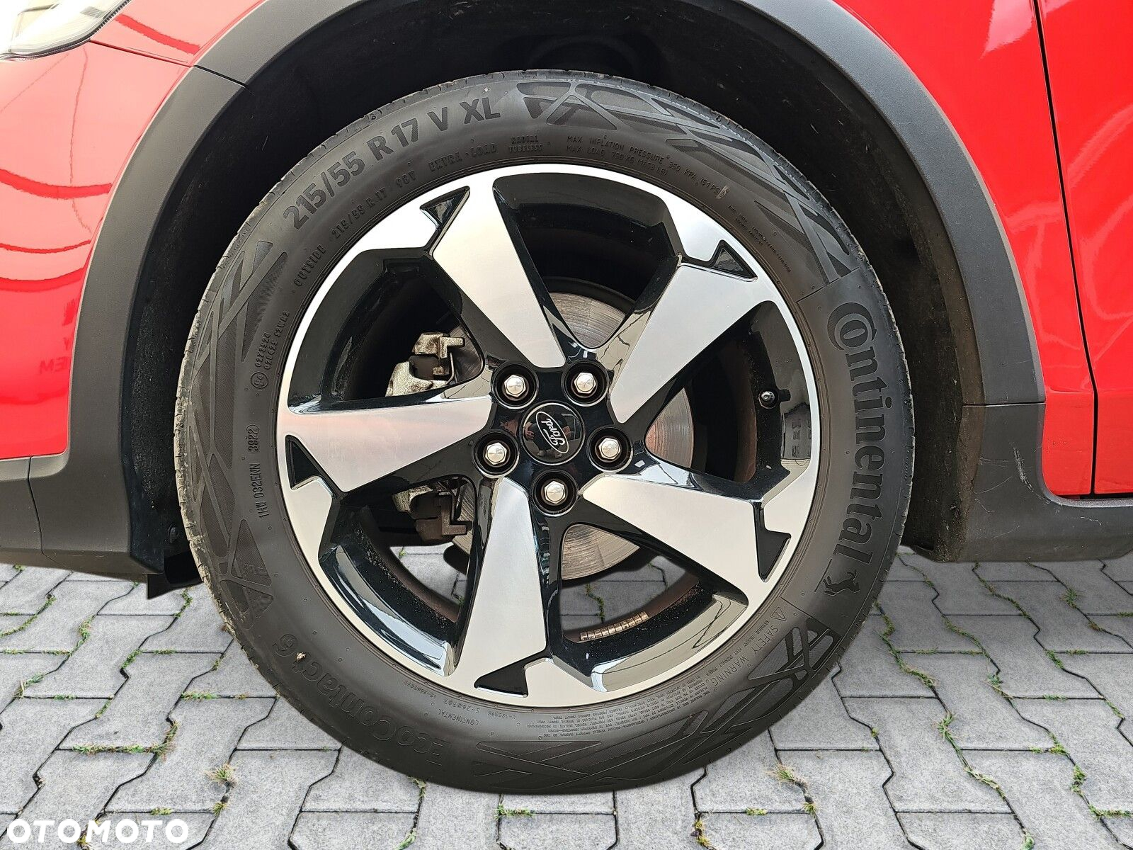 Ford Focus - 10
