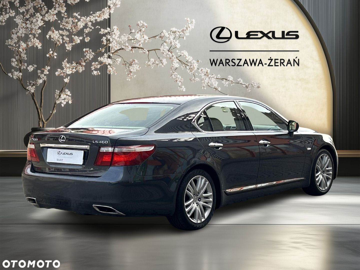Lexus LS 460 Prestige - 7