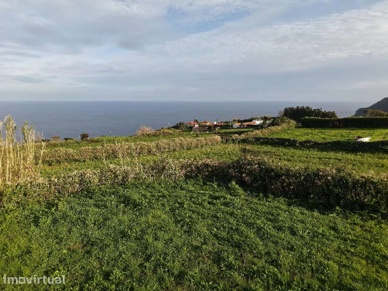 Terreno Urbanizável com Vista Mar e Montanha na Ilha das Flores - Grande imagem: 2/8