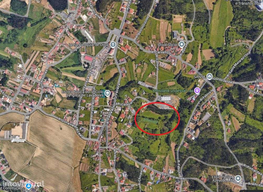 Terreno 16.280m2 em 3 artigos no centro de Olival. Dá 1 moradia. - Grande imagem: 3/11