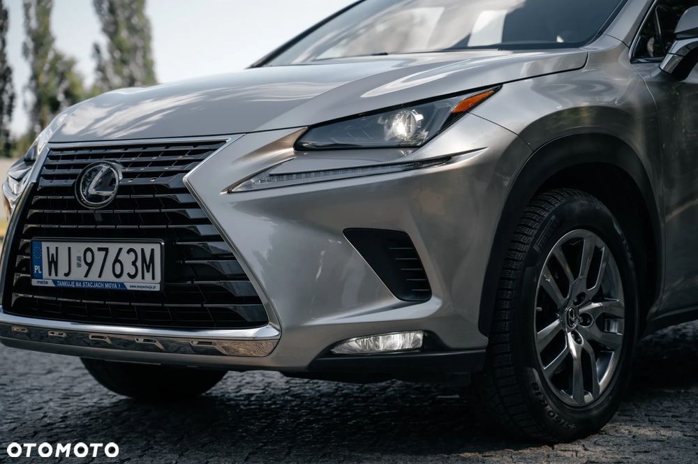 Lexus NX - 10
