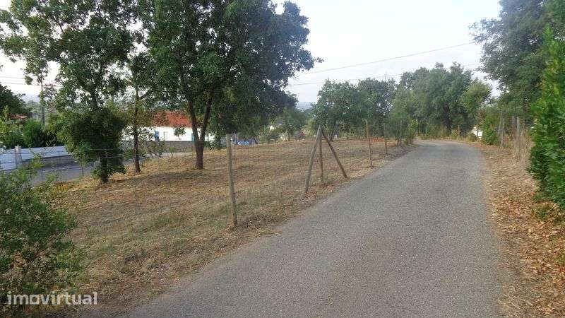 Moradia independente inserida num terreno com 15.000 m2 - Grande imagem: 5/9