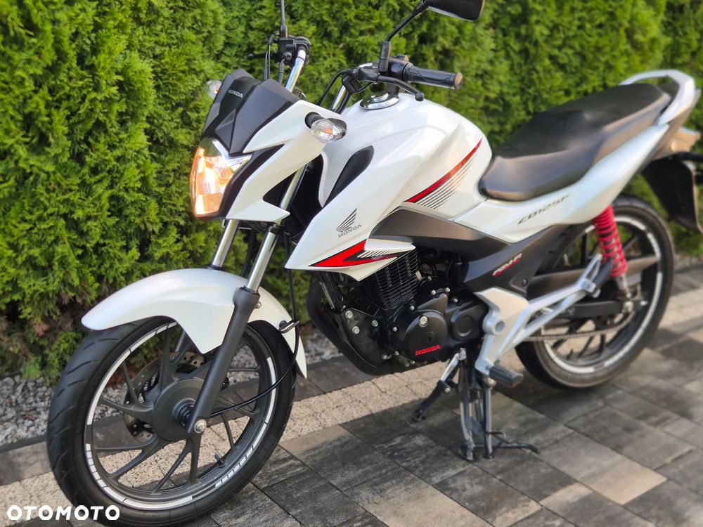 Honda CBF - 14