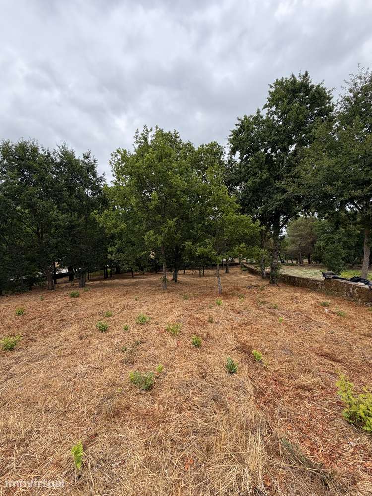 Terreno urbano 3.308 m² pronto a construir, murado, Vila Nova de Paiva - Grande imagem: 4/8