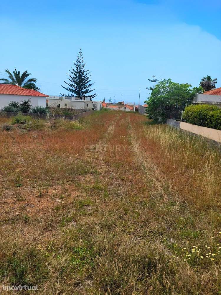 Terreno em Porto Santo – Oportunidade Única num Cenário Natural Incomp - Grande imagem: 4/9