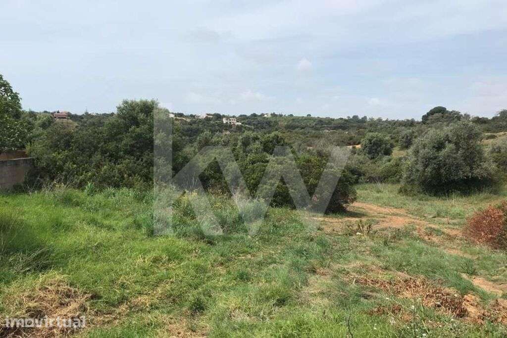 Oportunidade Única! Terreno Rústico de 34.370m2 em Porches Velho com C - Grande imagem: 2/9