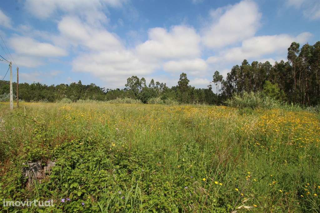 Terreno Para Construção, Condeixa-a-Nova, Condeixa - Grande imagem: 3/3