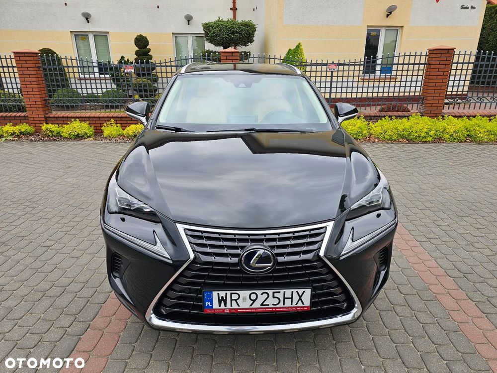 Lexus NX 300h Elegance 2WD - 36