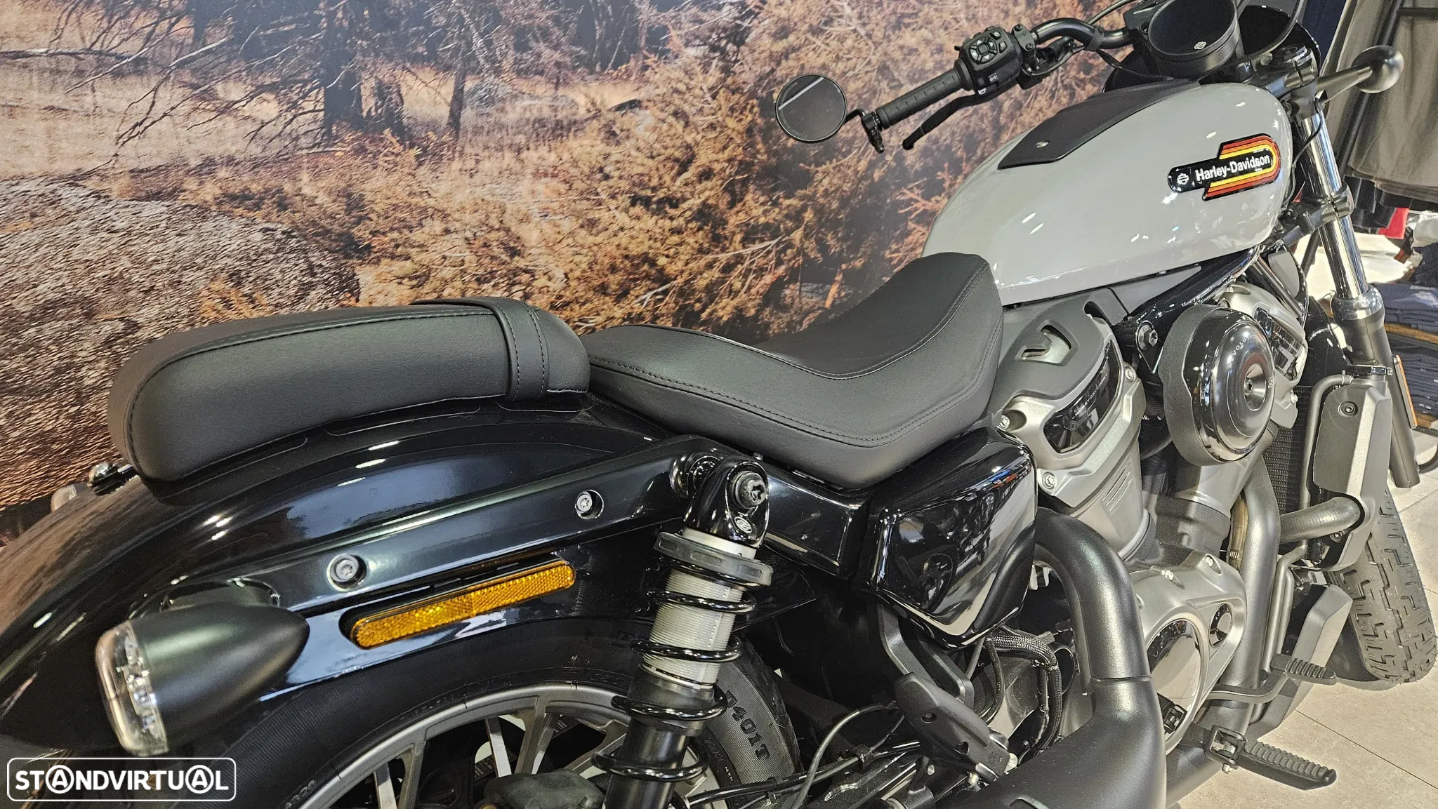 Harley-Davidson Sportster Nightster Special - 3