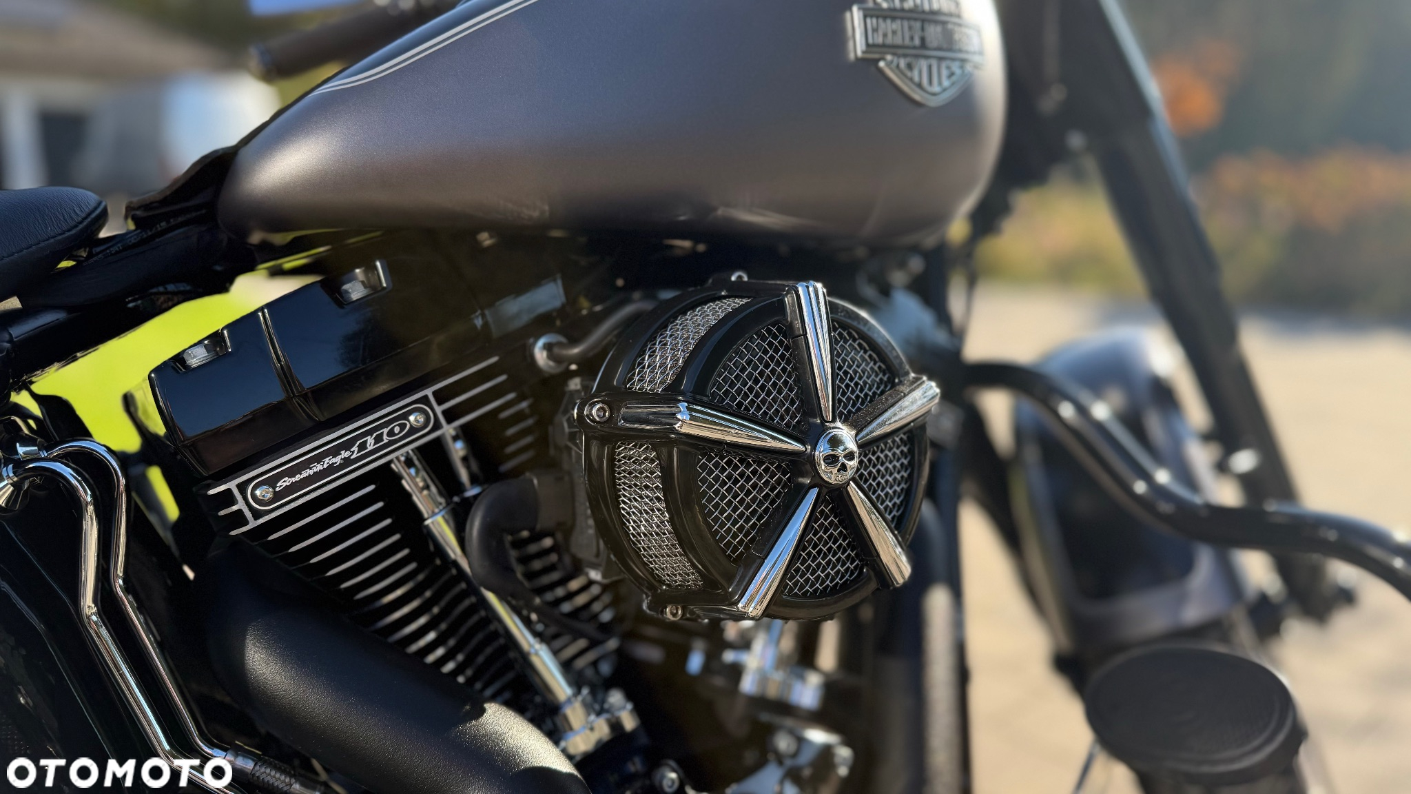 Harley-Davidson Softail Slim - 11