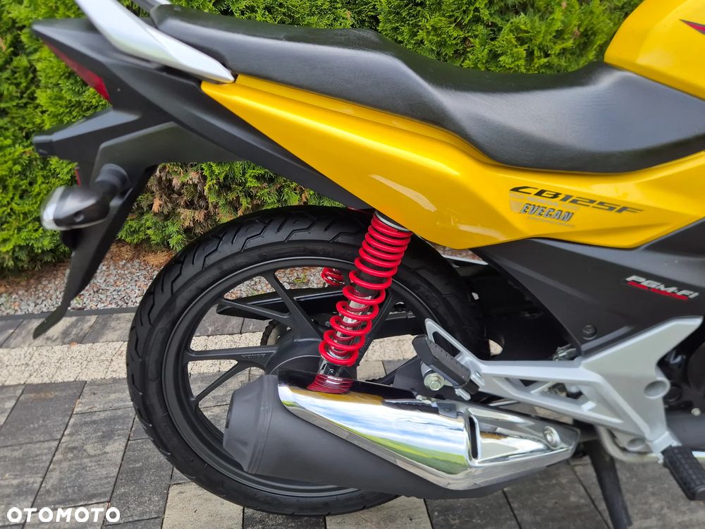 Honda CBF - 11