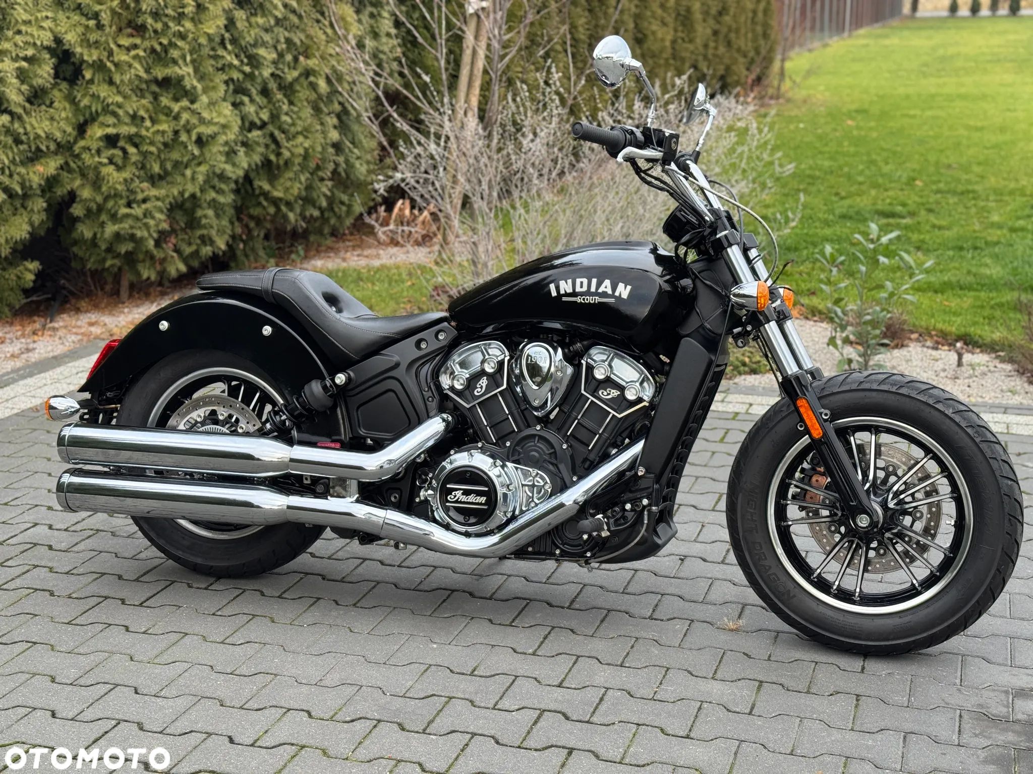 Indian Scout - 1