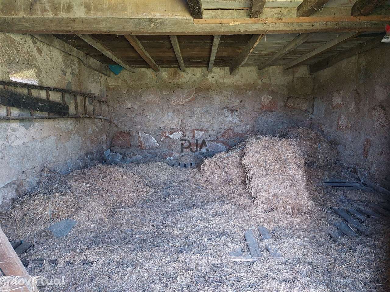 Quinta 1Ha em Vila Cortês da Serra - Grande imagem: 5/13