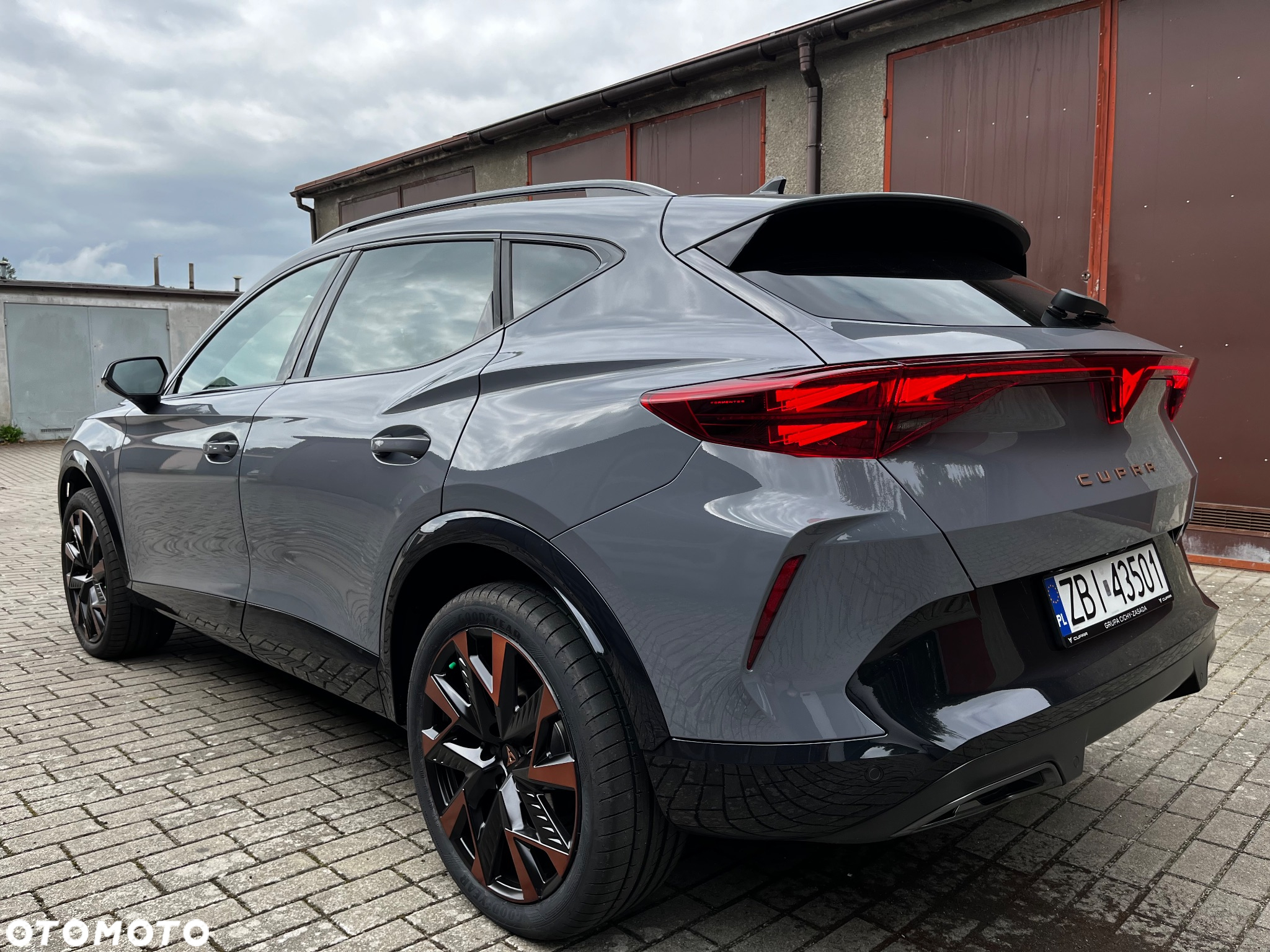 Cupra Formentor 2.0 TDI DSG - 8