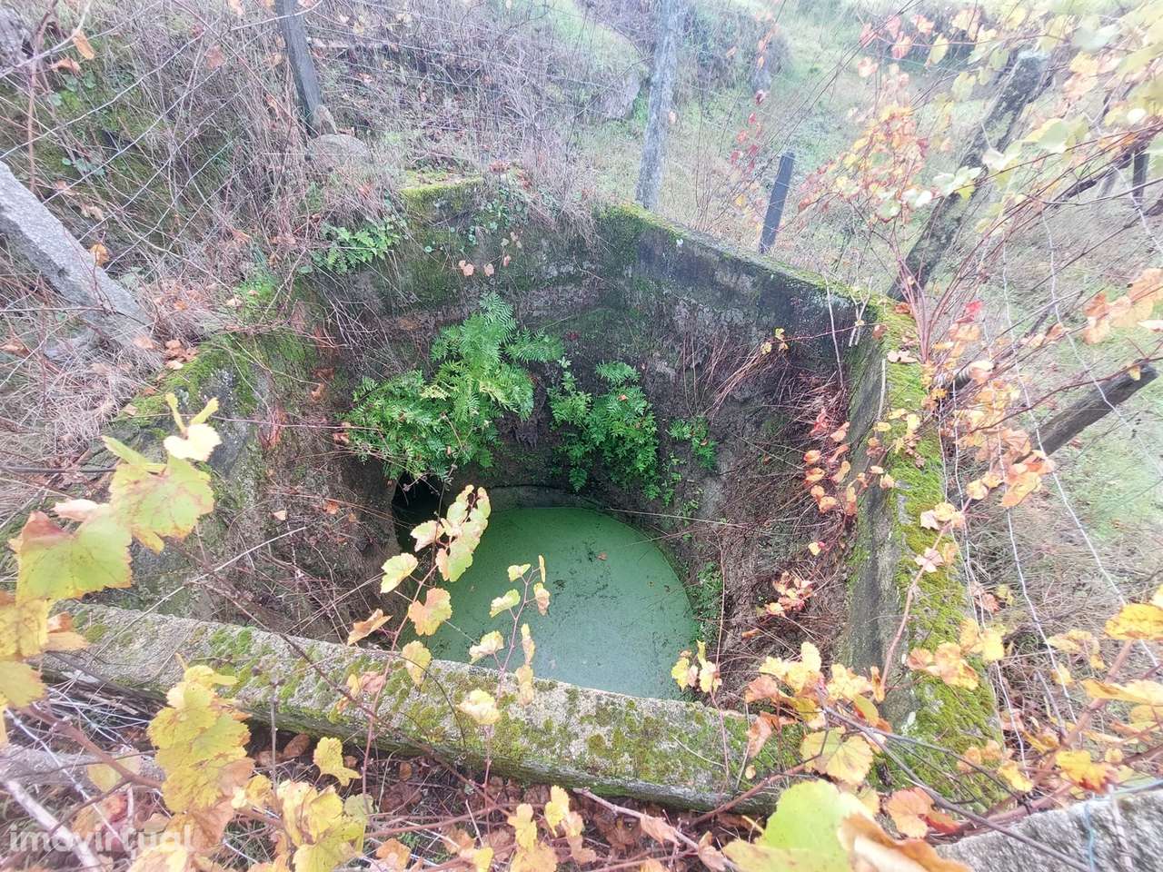 Terreno Rústico  Venda em Vila Nova de Tazem,Gouveia - Grande imagem: 4/11
