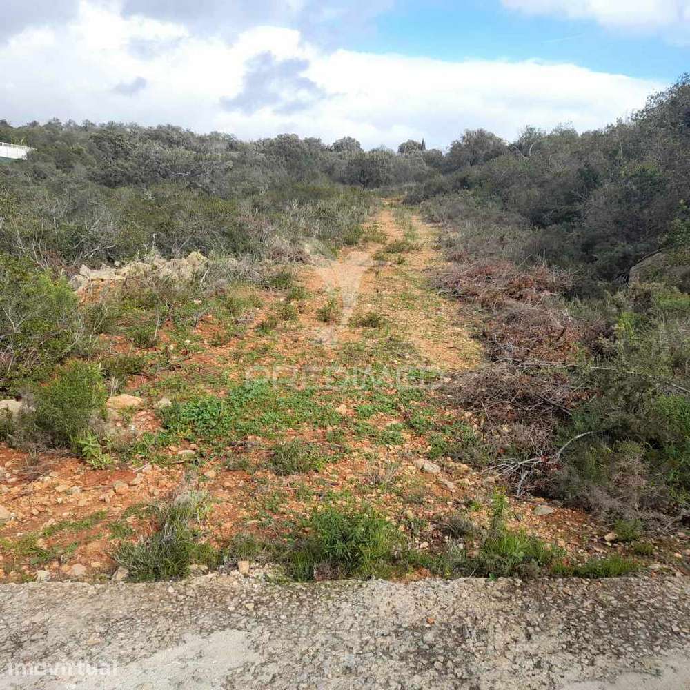 Terreno Rustico  localizado a 3 km  do Estoi - Grande imagem: 2/12