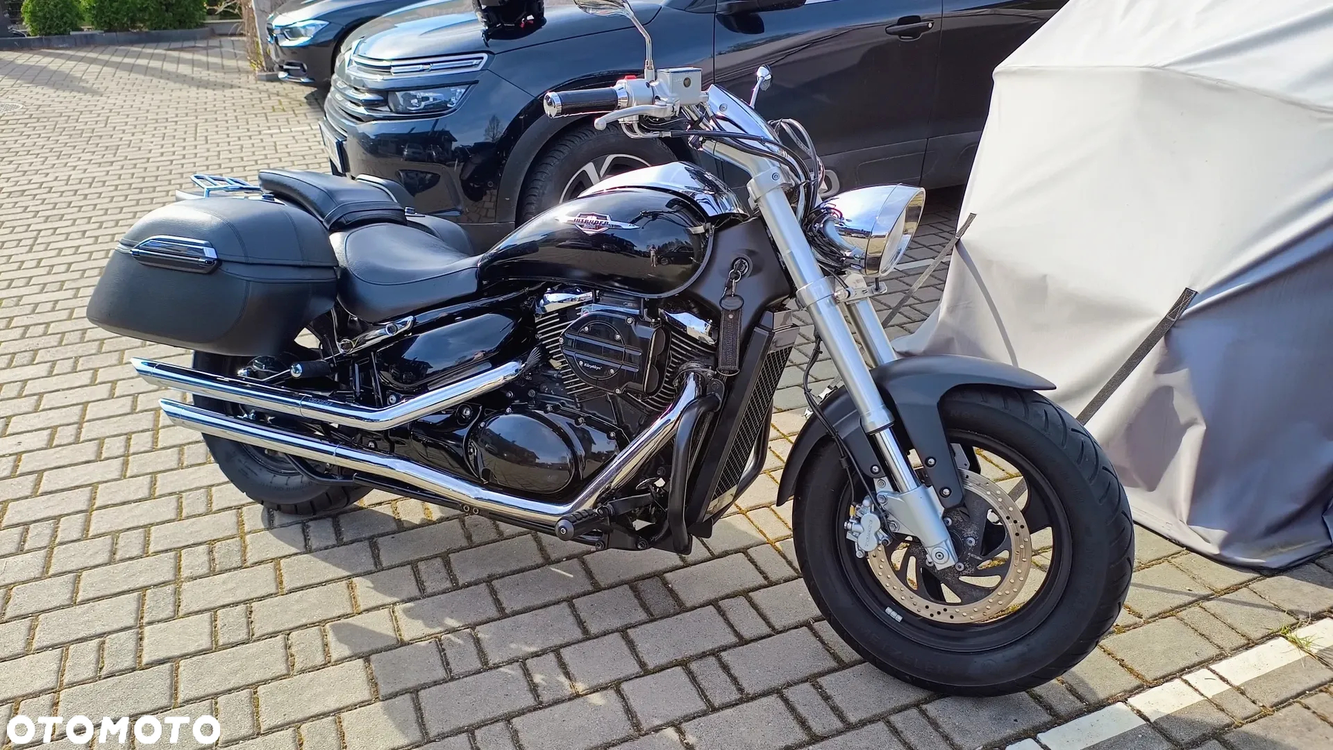 Suzuki Intruder - 8
