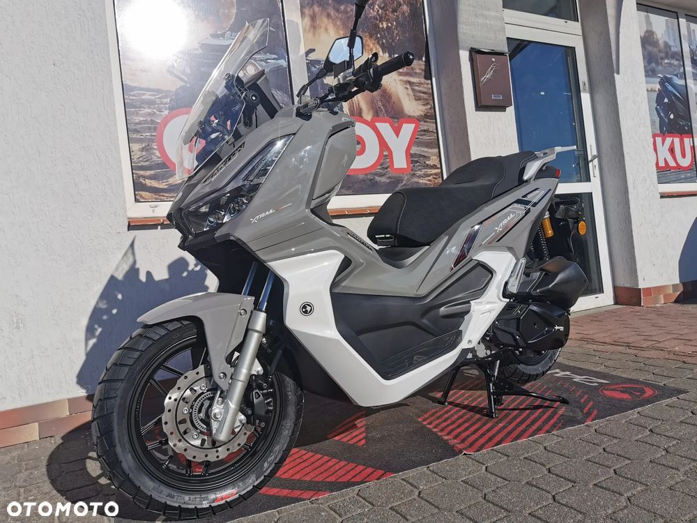 Barton X-Trail - 4