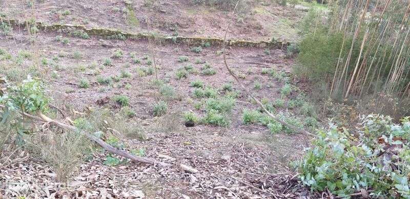 Penafiel-Terreno para construção com 5712m2 próximo parque cidade - Grande imagem: 3/7