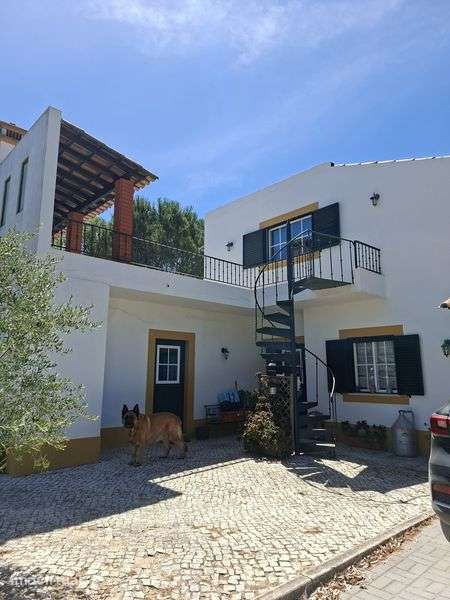 Quinta com moradia V4 +piscina - Grande imagem: 5/8